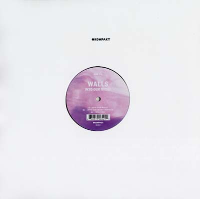 WALLS - Into Our Midst | Vinyl