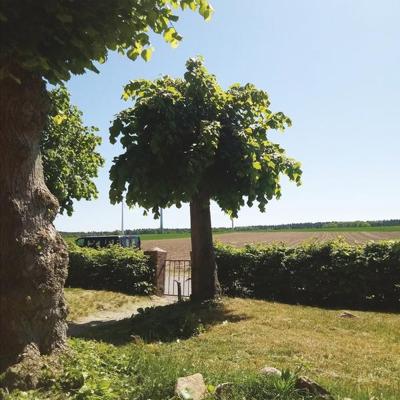 SIGTRYGGUR BERG SIGMARSSON - Into the Second Half | Vinyl