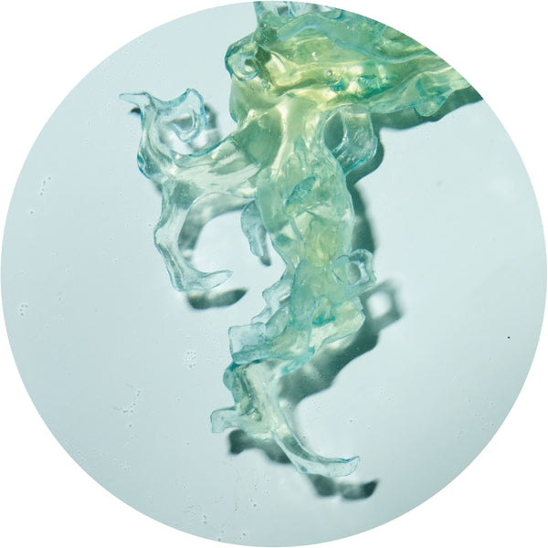 Altone | Invincible Nature | Vinyl