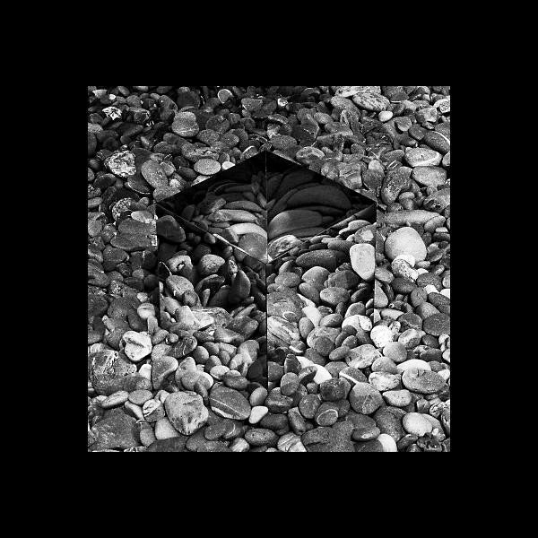 SUBLEE - Irealis | Vinyl