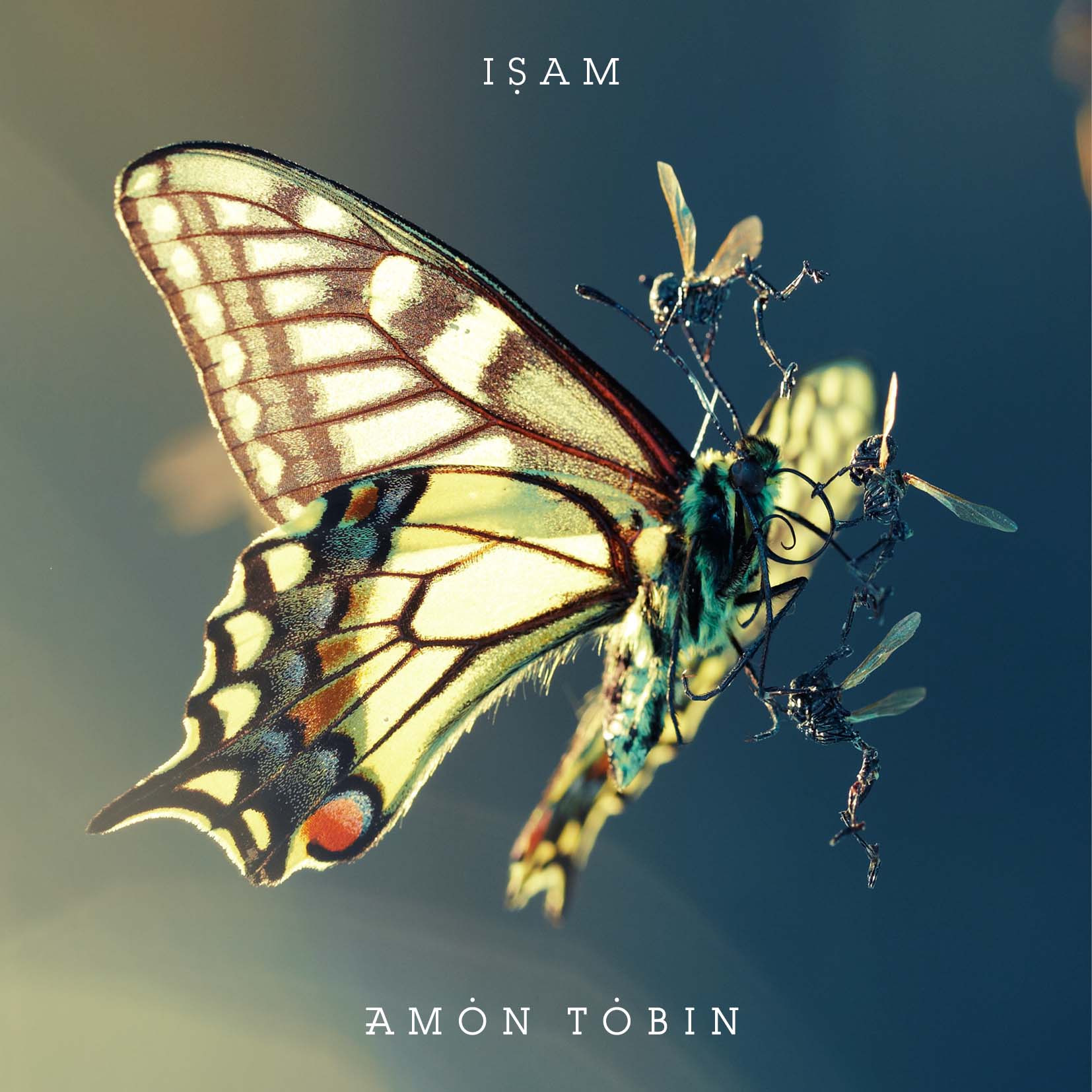 Amon Tobin - ISAM (Ltd Book & CD) | CD