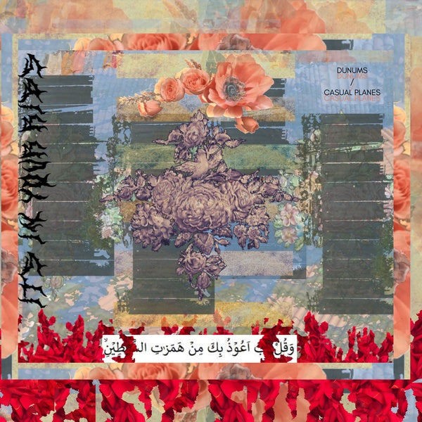DUNUMS/CASUAL PLANES - Its In Your Ribs | Vinyl