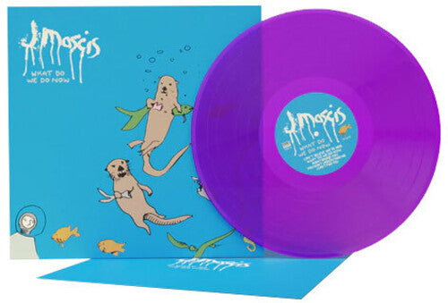 J Mascis | What Do We Do Now (Colored Vinyl, Clear Vinyl, Purple) | Vinyl - 0