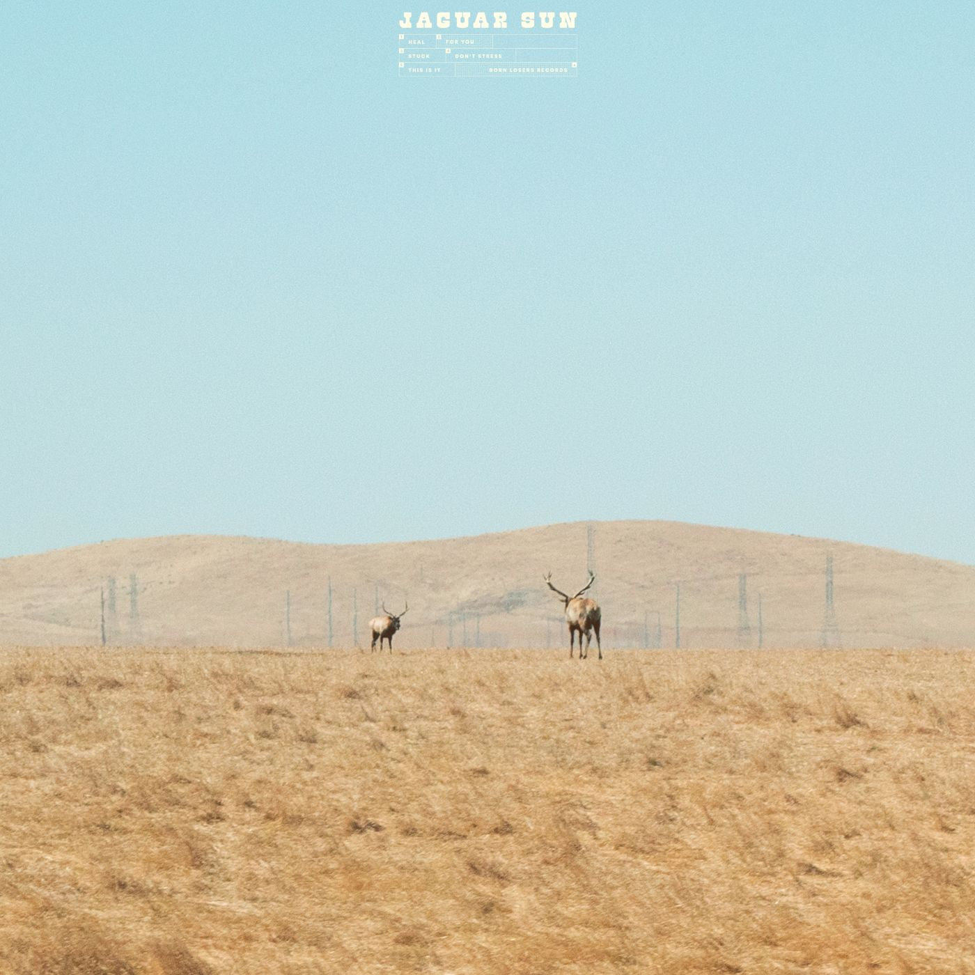 Jaguar Sun - For You (Blue And Black Swirl Vinyl) | Vinyl