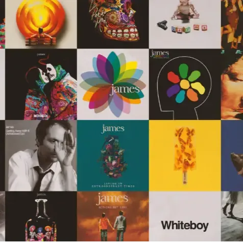 James | Nothing But Love: The Definitive Best Of [2LP] | Vinyl