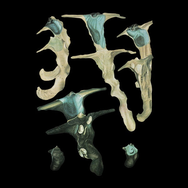 RAINFOREST SPIRITUAL ENSLAVEMENT - Jellyfish Reproduce Black Magic | Vinyl