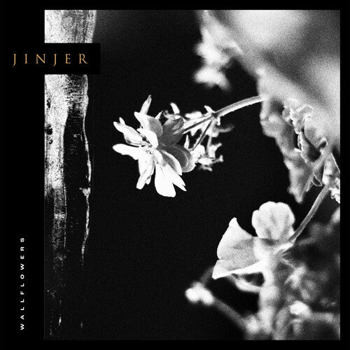 Jinjer - Wallflowers (CD) | CD