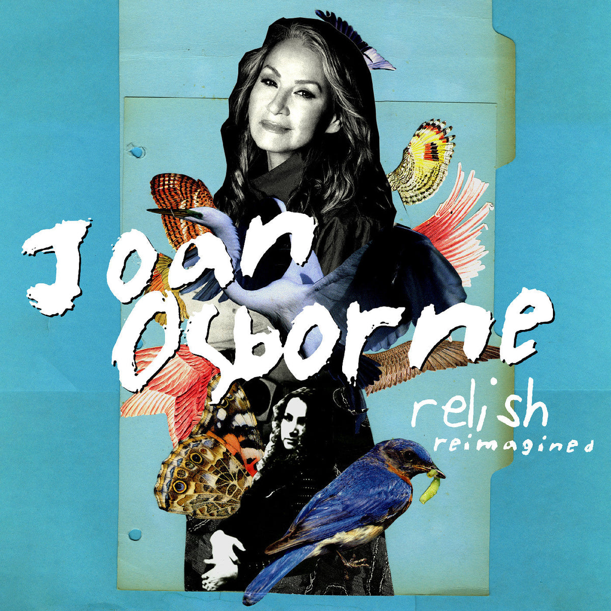 Joan Osborne - Relish Reimagined [LP] | Vinyl