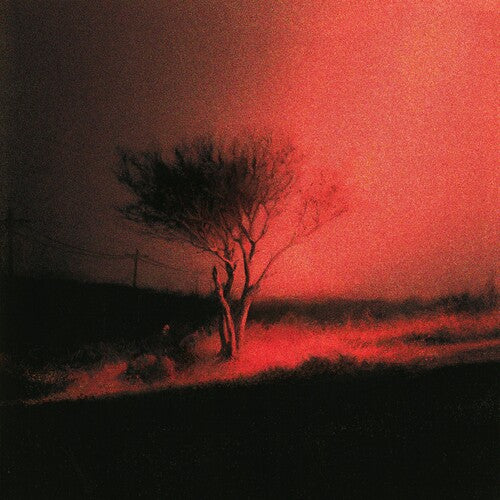 Joji | Piss In The Wind [Explicit Content] (Indie Exclusive, Prism Colored Vinyl) | Vinyl