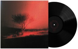 Joji | Piss In The Wind [Explicit Content] | Vinyl