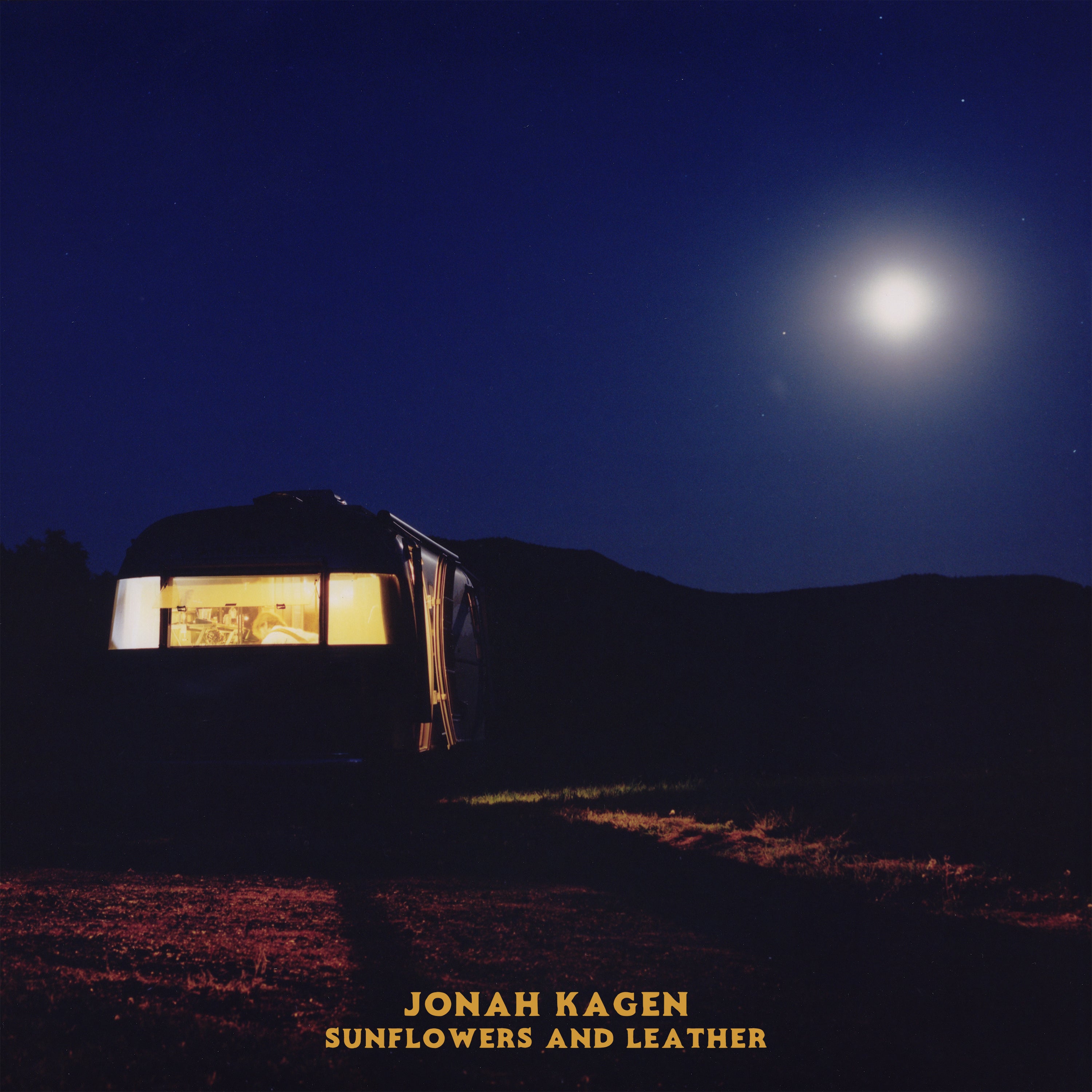 Jonah Kagen | Sunflowers And Leather [2LP] | Vinyl