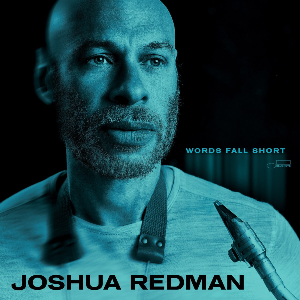 Joshua Redman | Words Fall Short [180G Lp] | Vinyl