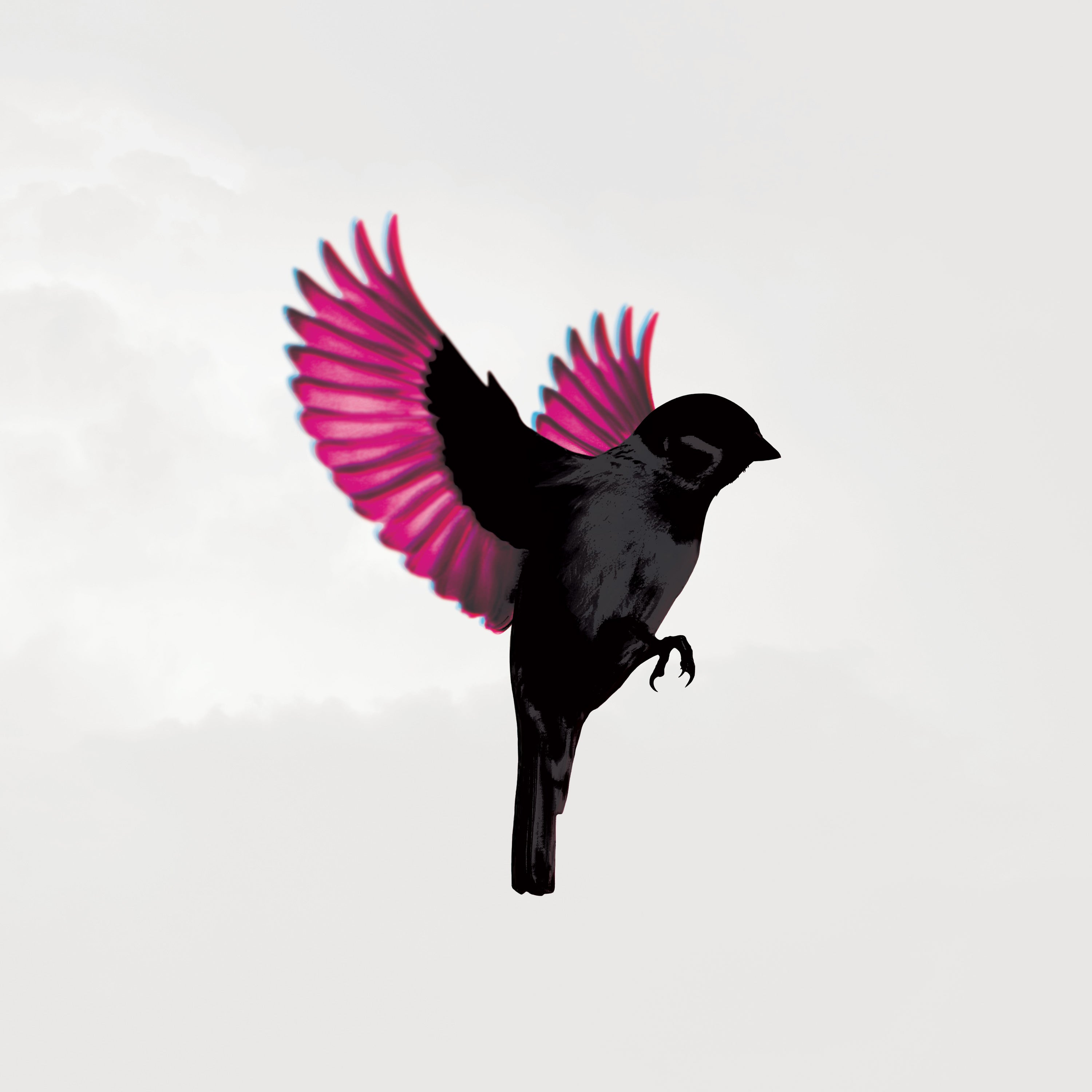 Jump Little Children - Sparrow | CD