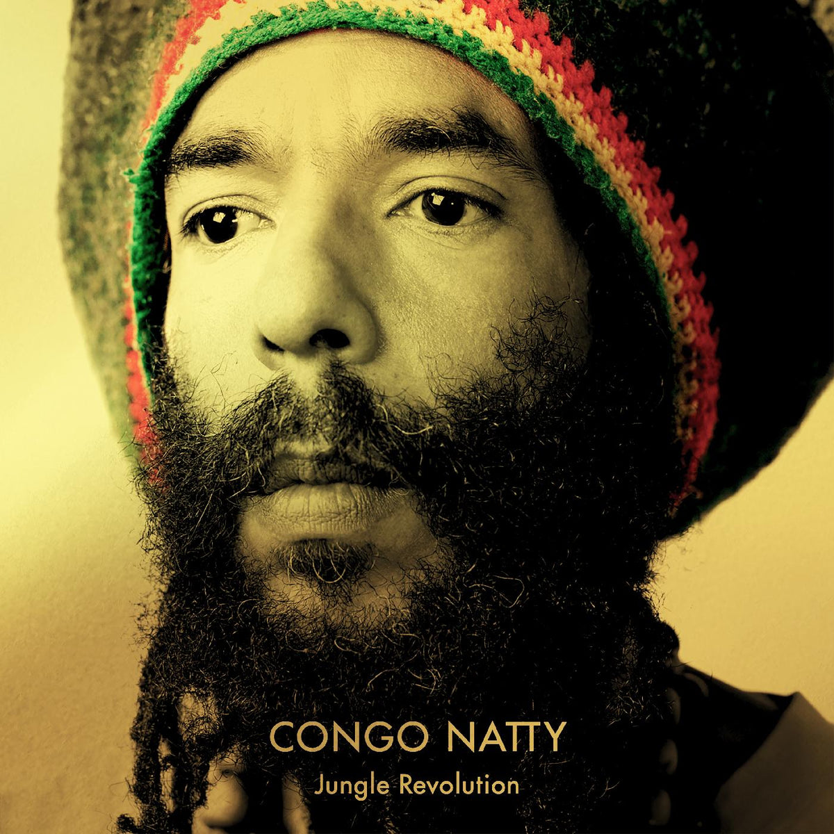 Congo Natty - Jungle Revolution (YELLOW & GREEN VINYL) | Vinyl