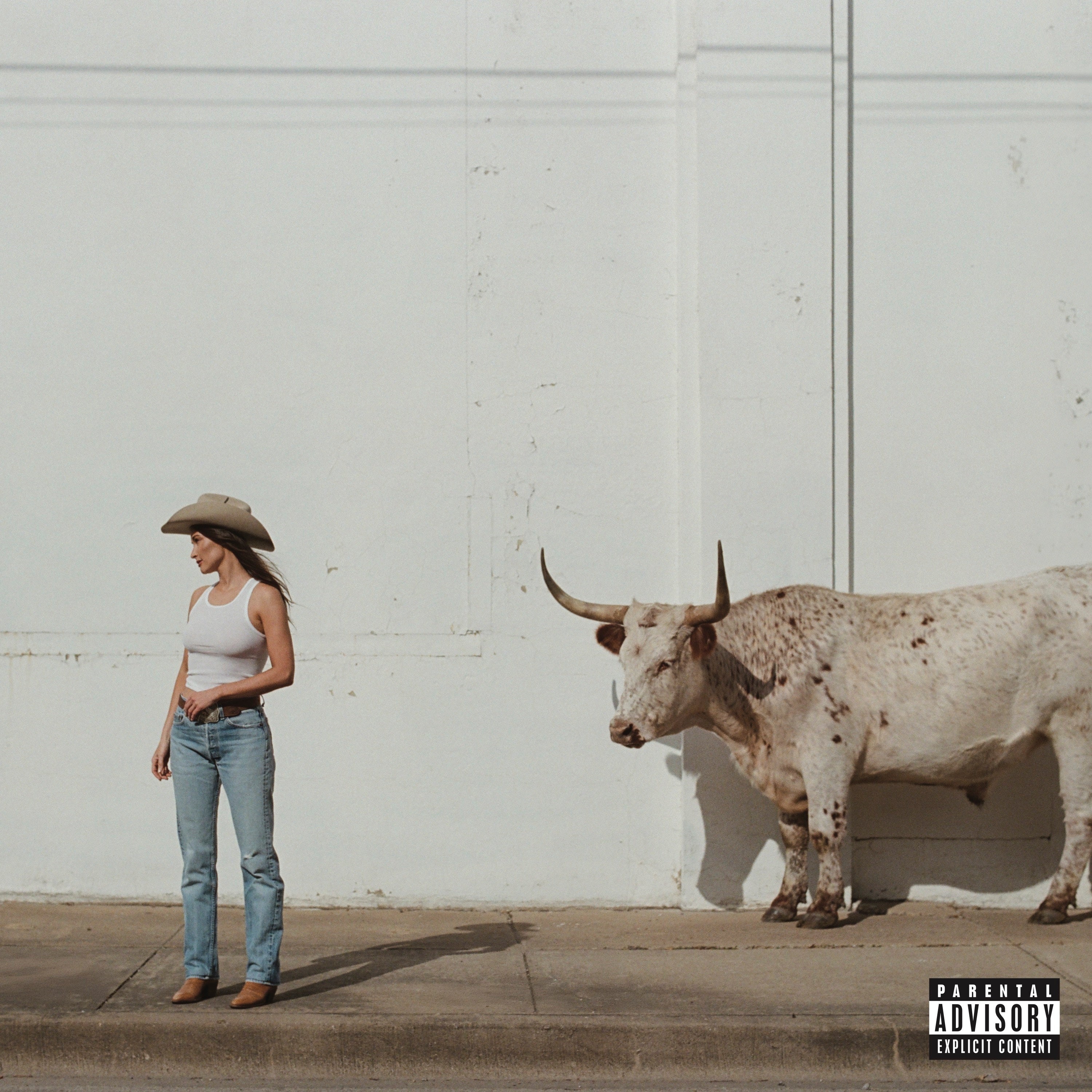 Kacey Musgraves | Middle Of Nowhere [Whiskey Vinyl] | Vinyl