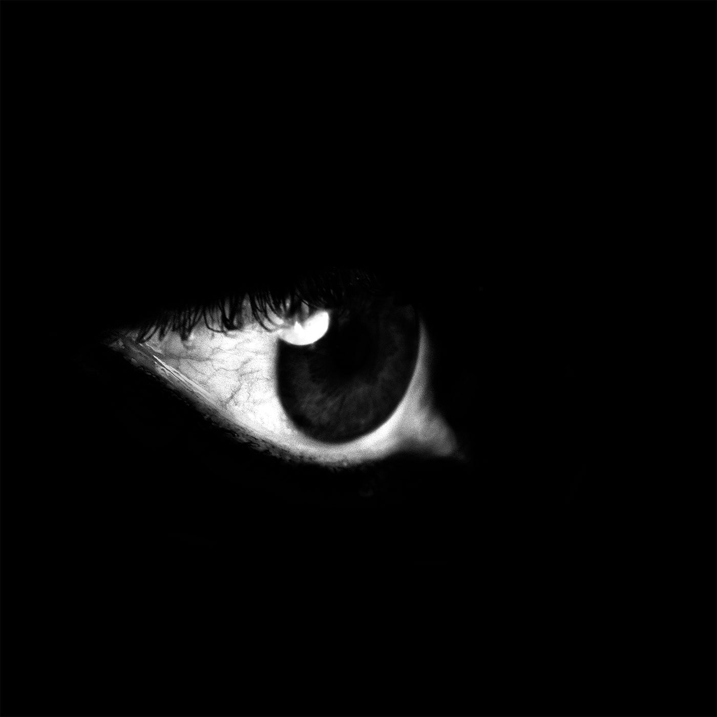 Coldcut | Kajra | Vinyl