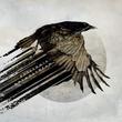 Katatonia - Mnemosynean | Vinyl