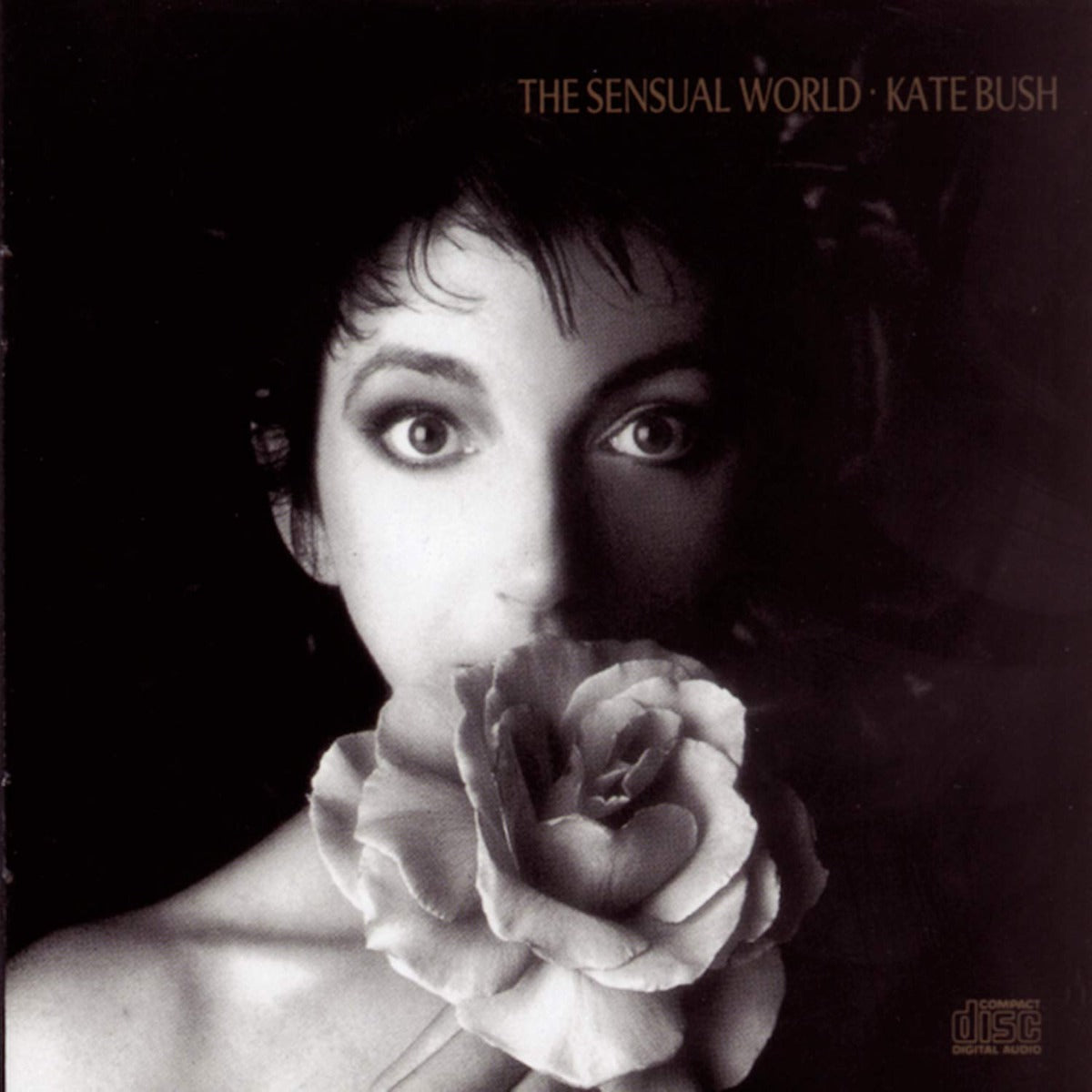 Kate Bush | Sensual World (2018 Remastered 180 Gram Ash Grey Vinyl Indie Exclusive) [Import] | Vinyl - 0