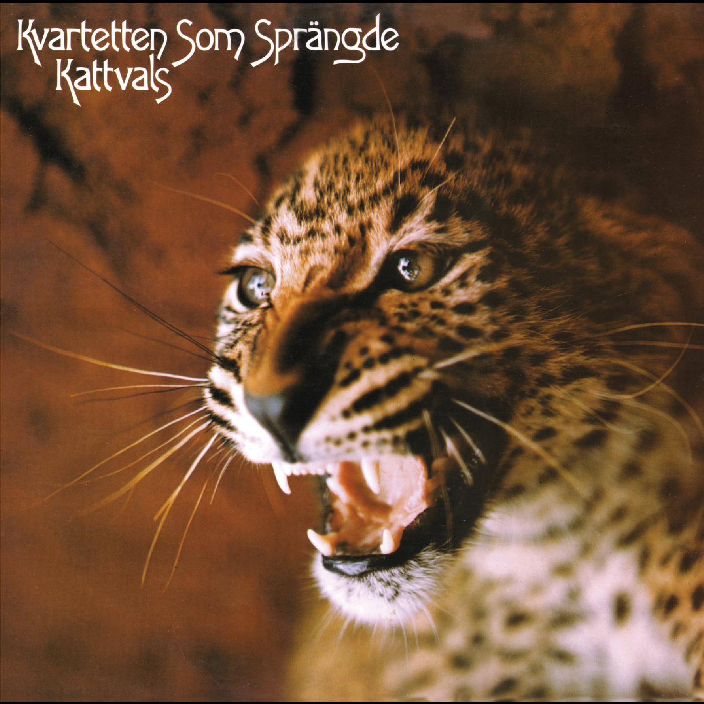 Kvartetten som spr‰ngde | Kattvals (DELUXE EDITION, PSYCHEDELIC SPLATTER VINYL) | Vinyl