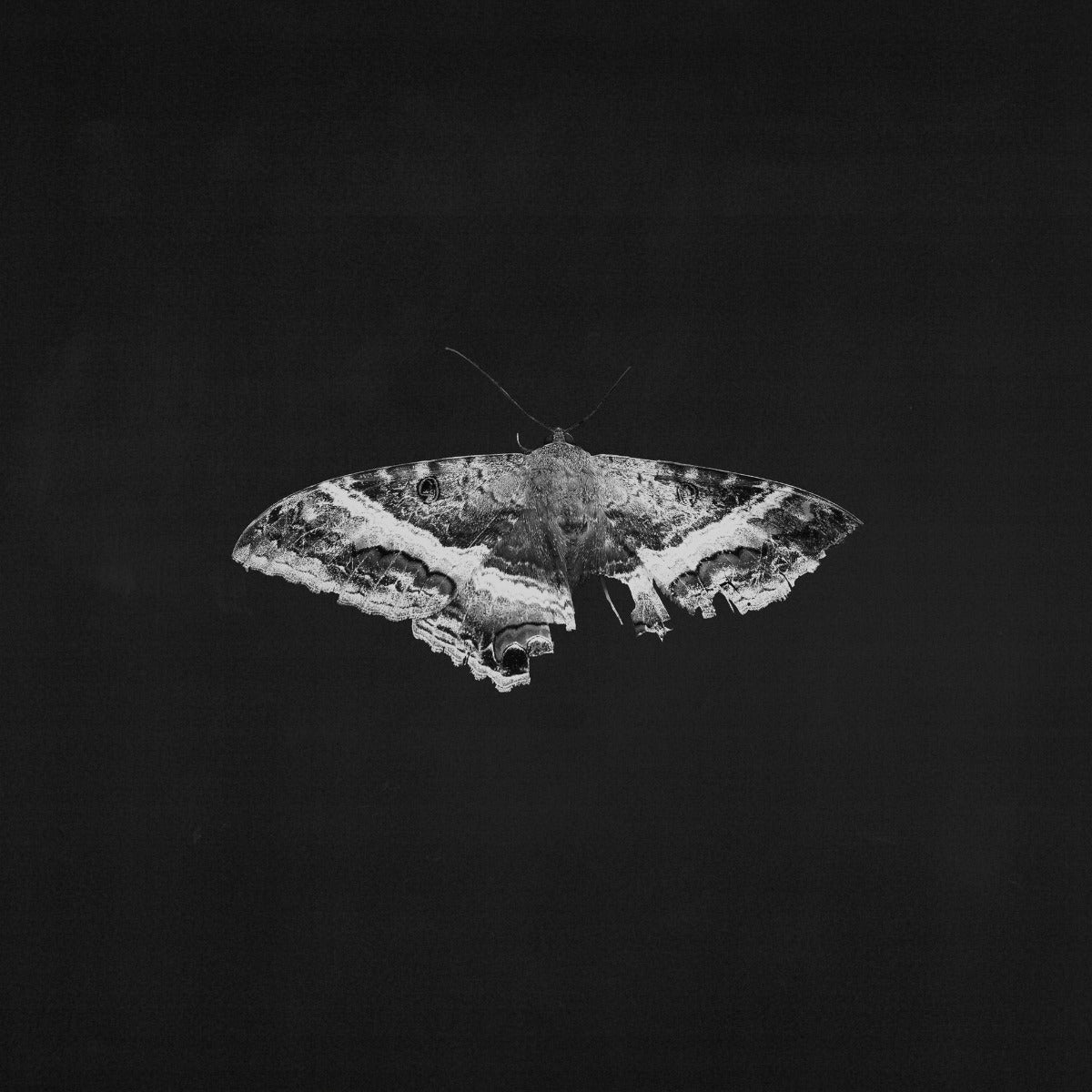 Kendrick Lamar | To Pimp A Butterfly (10 Year Anniversary Edition) - Alternate Artwork (Black marble Vinyl) [2 LP] | Vinyl