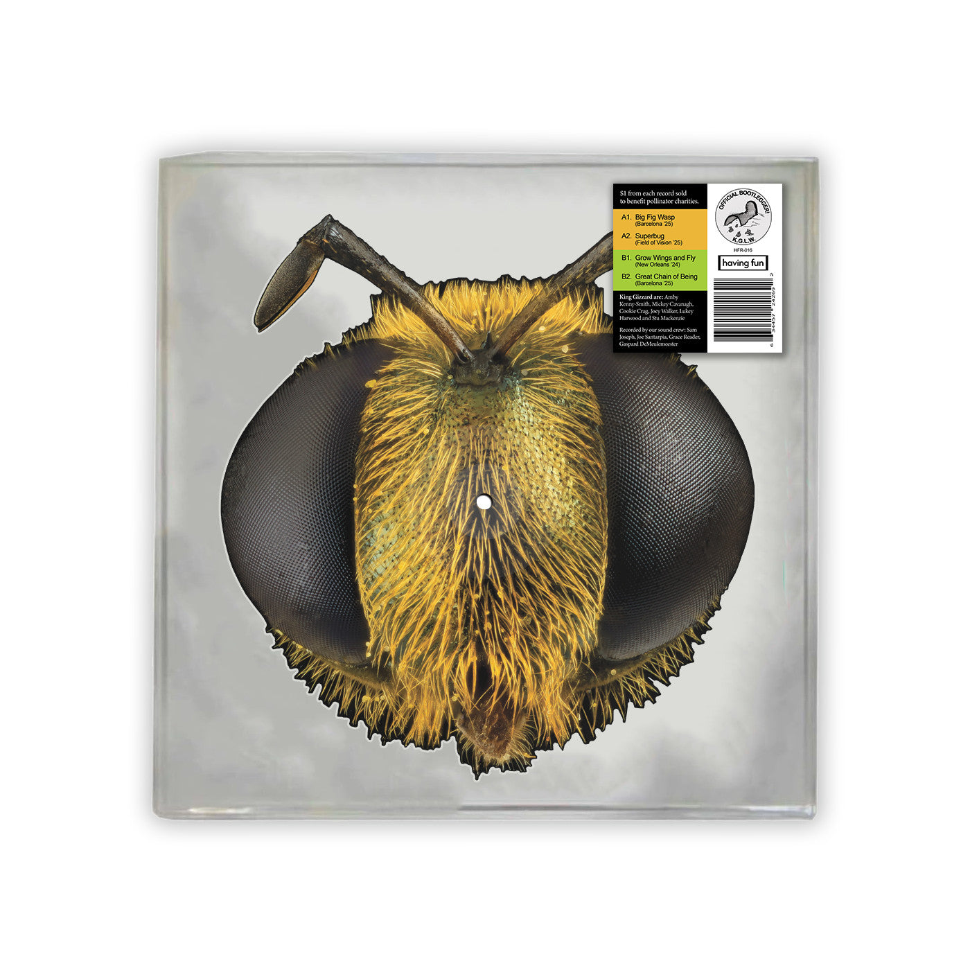King Gizzard & The Lizard Wizard | Big Fig Wasp (Bee/Bug Shaped Vinyl) | Vinyl