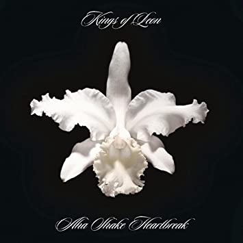 Kings of Leon - Aha Shake Heartbreak(180-gram) [Import] (2 Lp's) | Vinyl