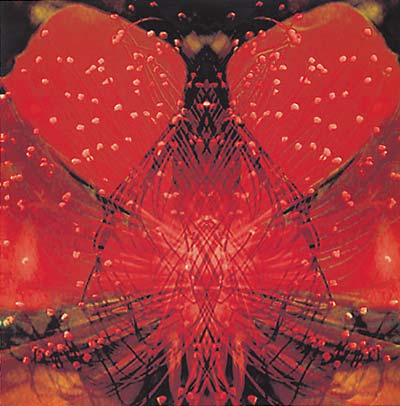 KK NULL - Kosmista Noisea | CD