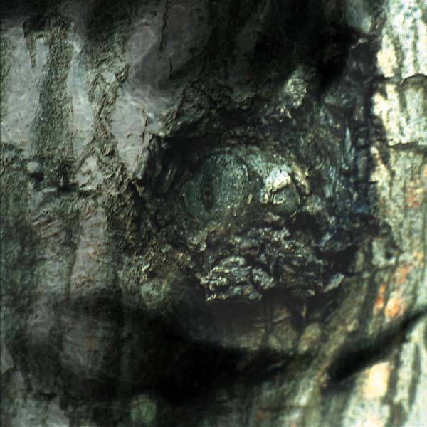 YANN TIERSEN - La Valse des Monstres | CD