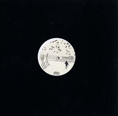IDIOMA - Landscapes | Vinyl