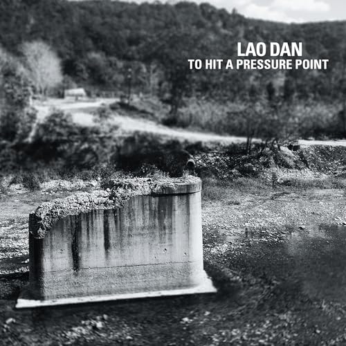 Lao Dan - To Hit A Pressure Point | CD