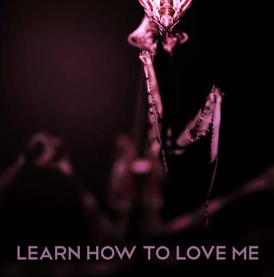 STAREAWAY - Learn How To Love Me | Vinyl
