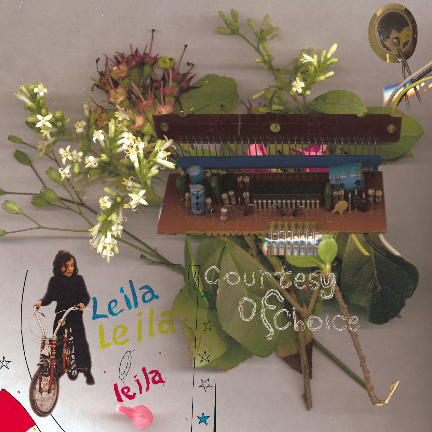 Leila - Courtesy Of Choice ۲۵... Asides And Besides 25Th Anniversary (Deluxe Edition) | Vinyl