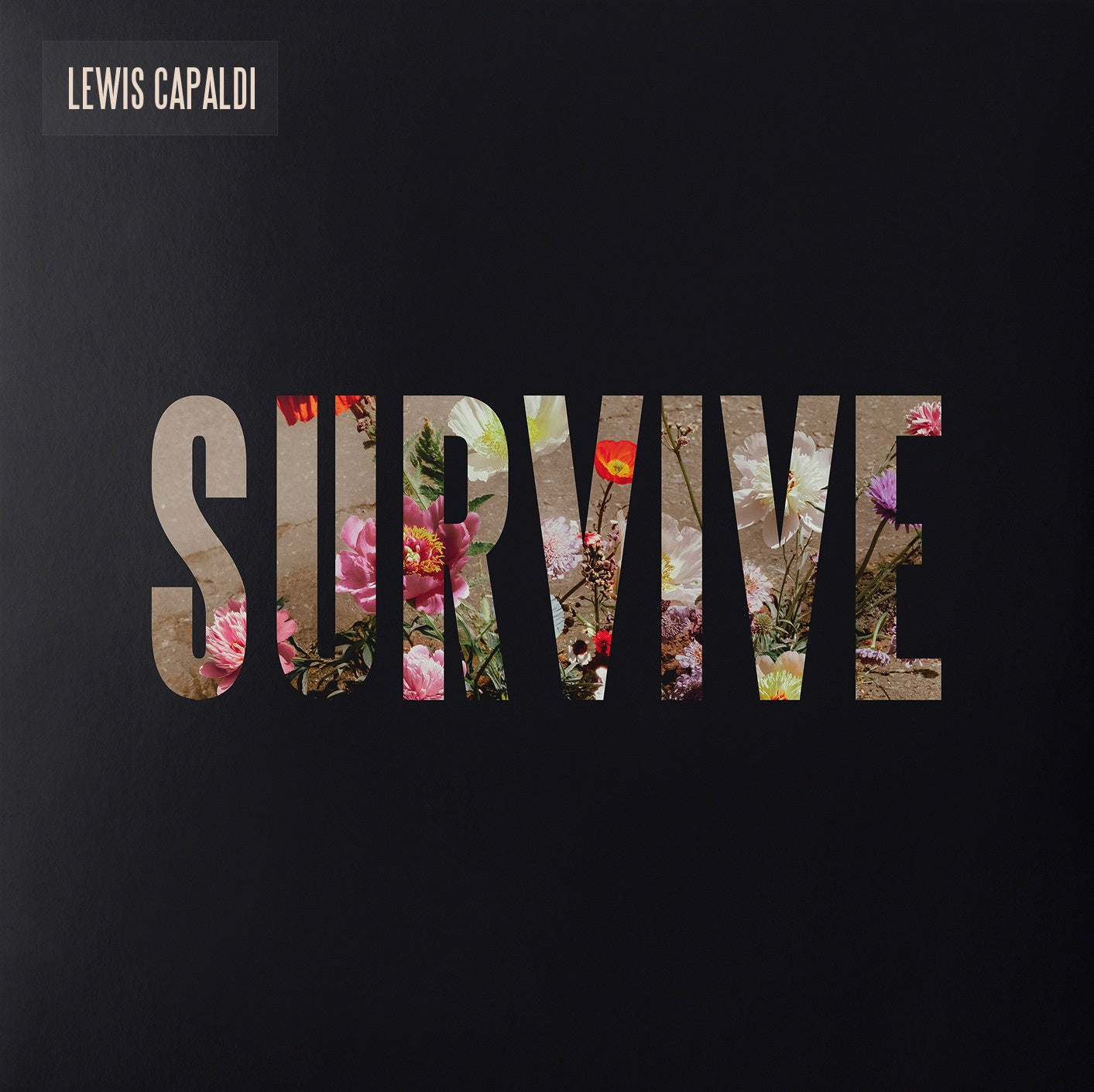 Lewis Capaldi | Survive [Clear 12" EP] | Vinyl