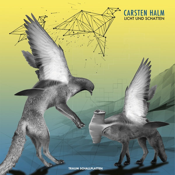 CARSTEN HALM - Licht Und Schatten | Vinyl