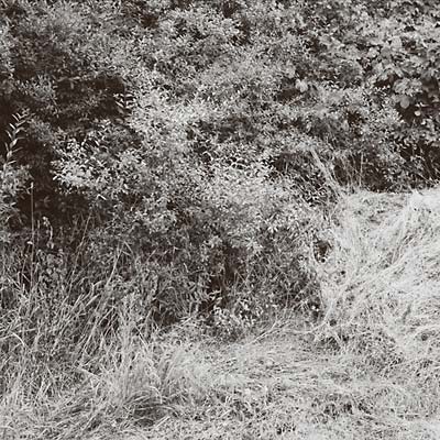 TONI HAUPT (FEAT. MILA) - Liepen EP | Vinyl