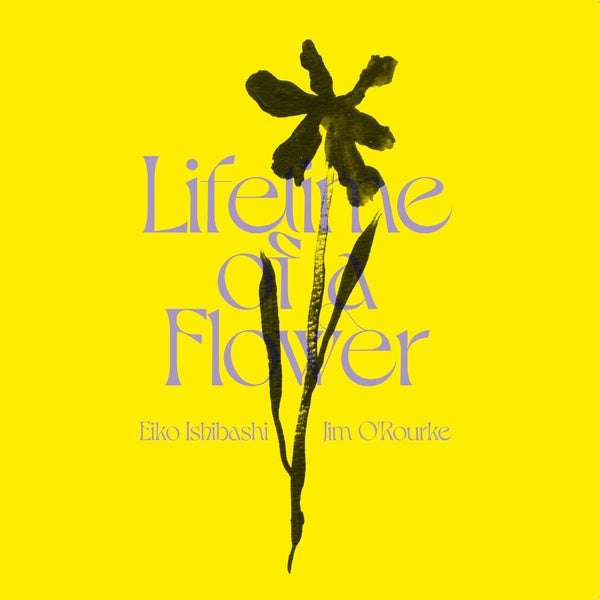 EIKO ISHIBASHI/JIM O'ROURKE - Lifetime of a Flower | Vinyl