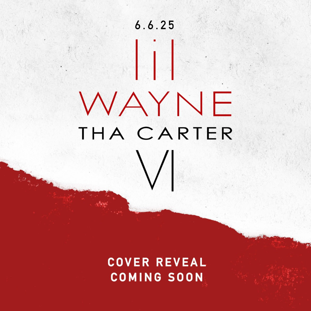 Lil Wayne | Tha Carter Vi (LP) | Vinyl