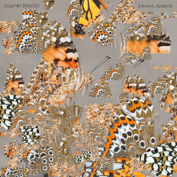 DOLPHIN MIDWIVES - Liminal Garden | Vinyl