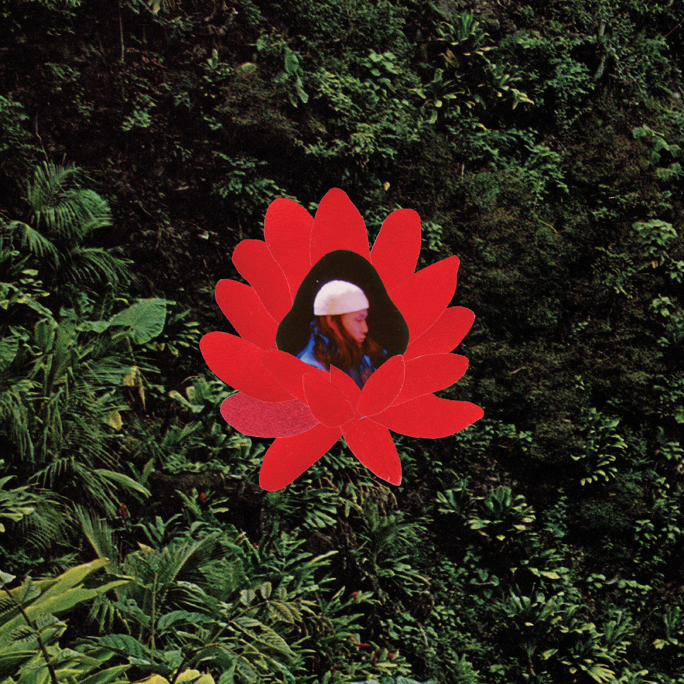 Lionmilk | When The Flowers Bloom | Vinyl