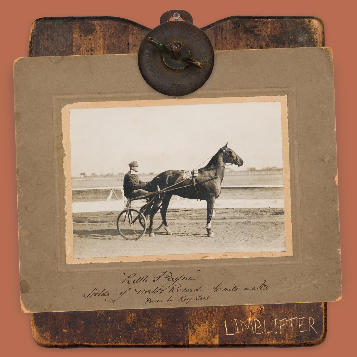 Limblifter | Little Payne | Vinyl
