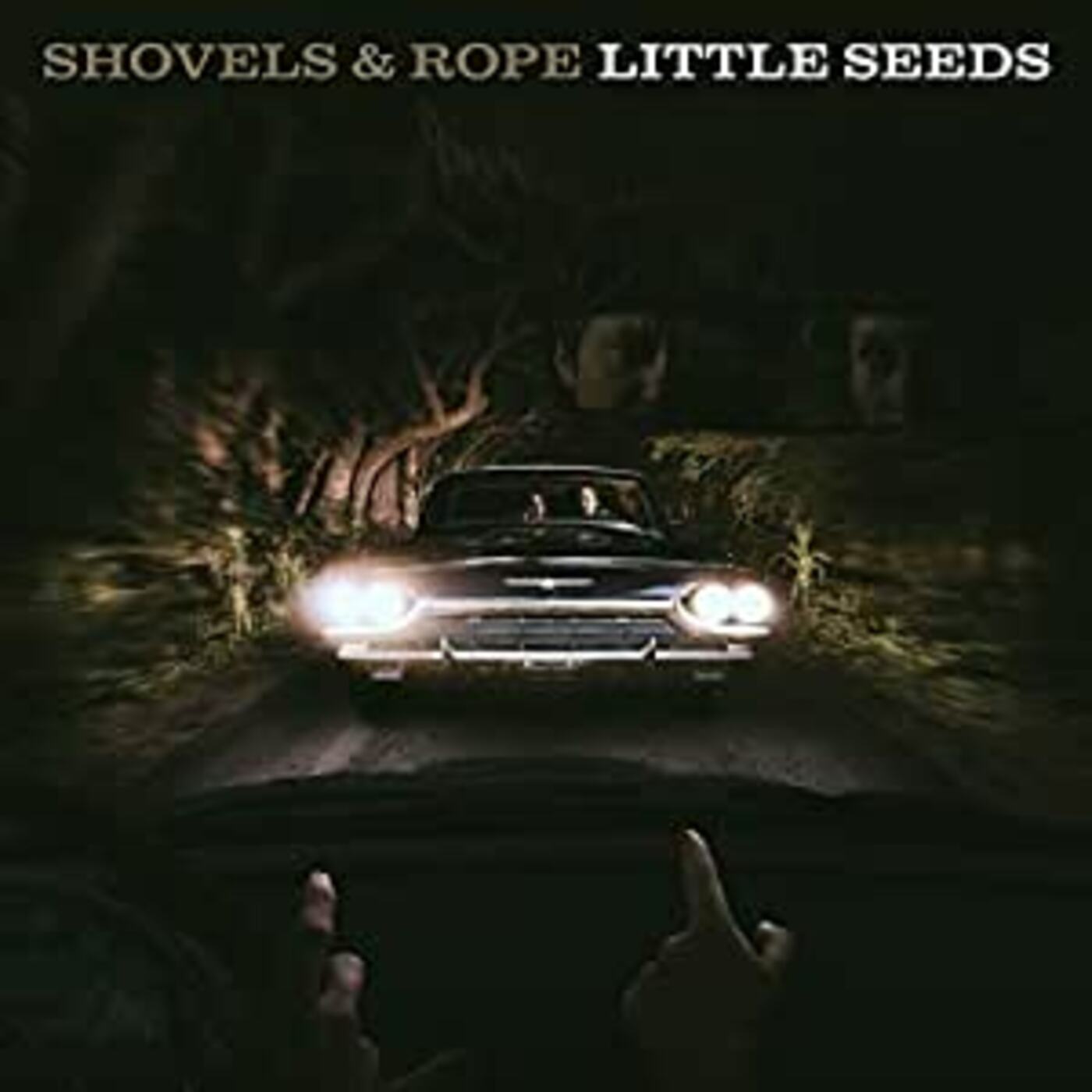 Shovels & Rope | Little Seeds | Vinyl