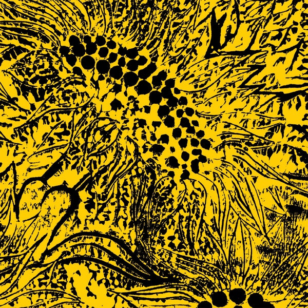 AMANDA WHITING - Little Sunflower | Vinyl