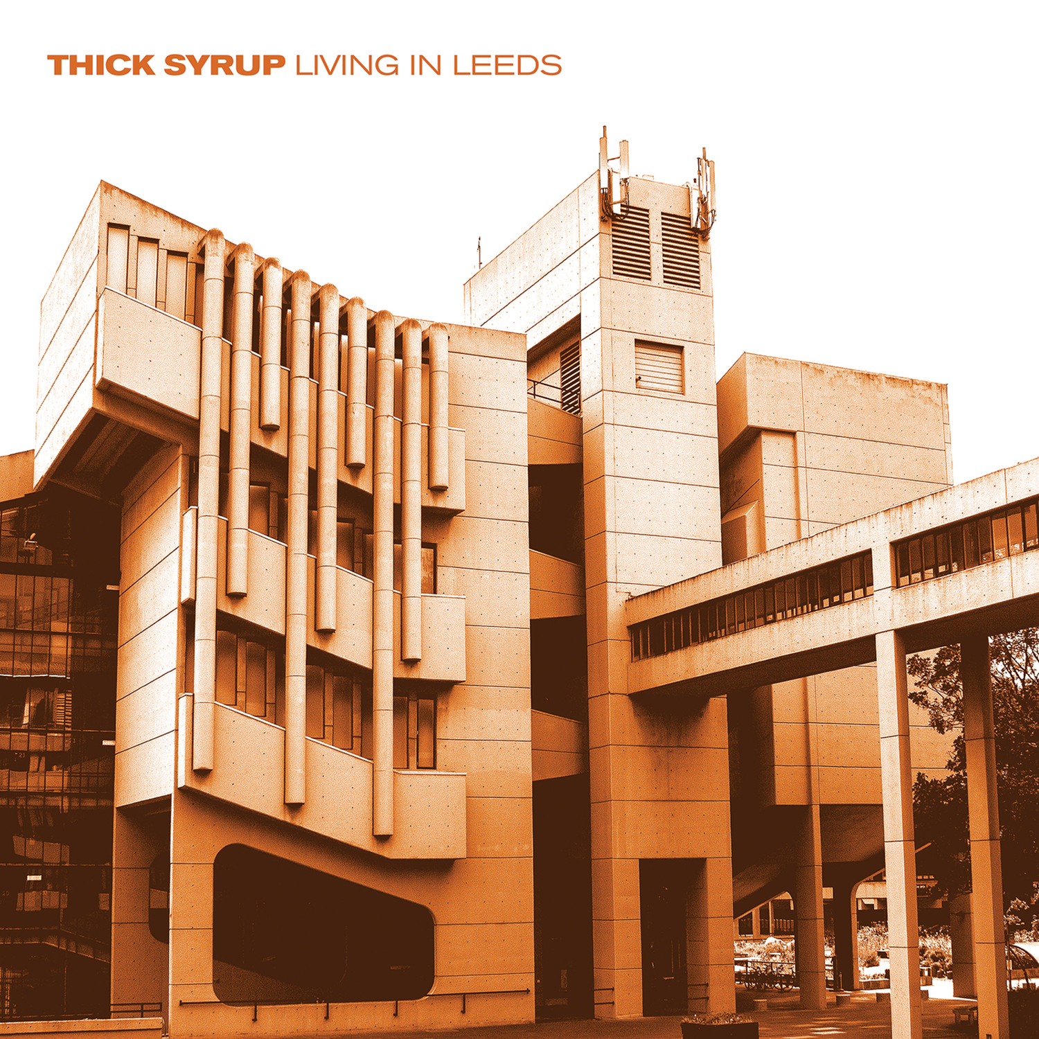 Thick Syrup | Living In Leeds | Vinyl