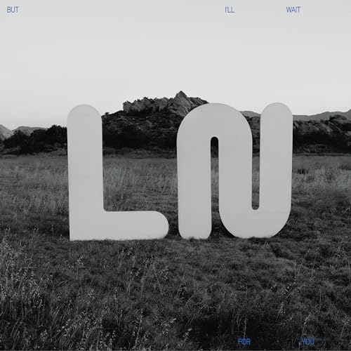 Local Natives - But I'll Wait For You | CD