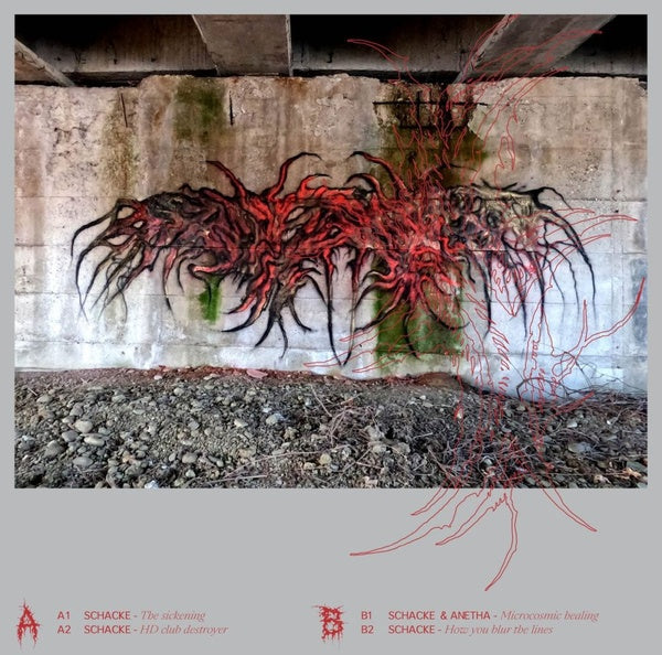 SCHACKE & ANETHA - Looks Are Deceiving | Vinyl