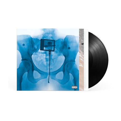 Lorde | Virgin [180G Lp] | Vinyl