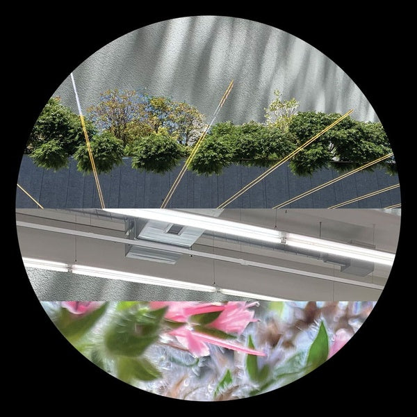 STEVE MILL - Love Attack EP | Vinyl