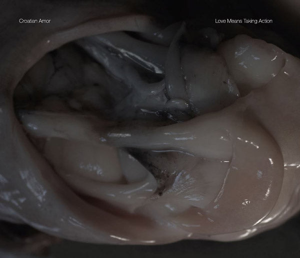 CROATIAN AMOR - Love Means Taking Action | CD