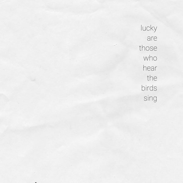VA - Lucky Are Those Who Hear The Birds Sing | Vinyl
