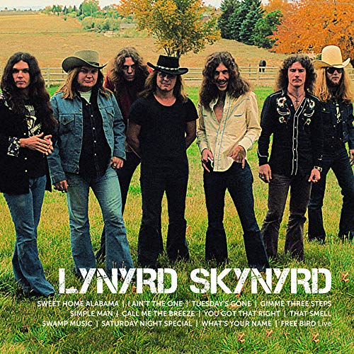Lynyrd Skynyrd - Icon (2 Lp's) | Vinyl